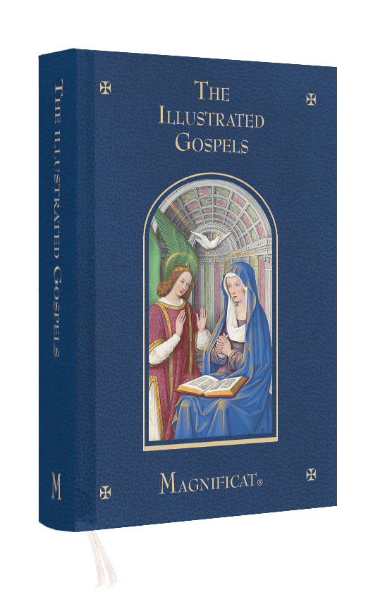The illustrated Gospels